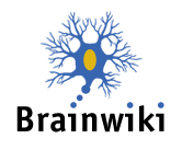 brainwiki-logo.png